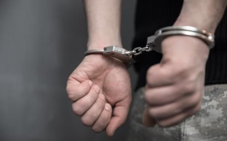 Homem é preso após matar cachorro da família a facadas