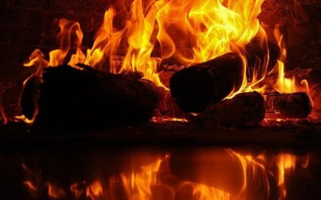 Garoto de 14 anos joga cachorros em fornalha, filma e publica vídeo