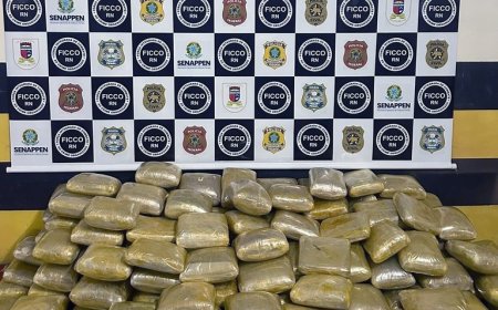 FICCO/RN prende dois homens e faz apreensão de 242 kg de skunk no RN