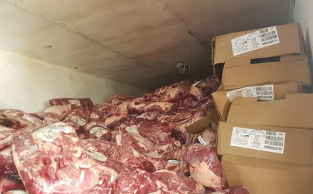 Polícia Civil prende homem com carga de carne roubada avaliada em R$ 200 mil