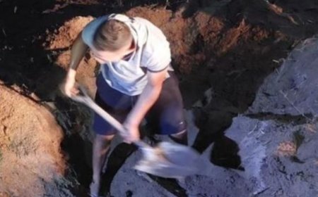 Homem planta macaxeira em cima da cova após matar colega