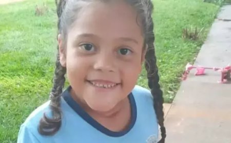 Menina de 8 anos morre após suspeita de picada de aranha