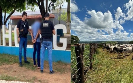 Caseiro é preso suspeito de furtar 45 cabeças de gado