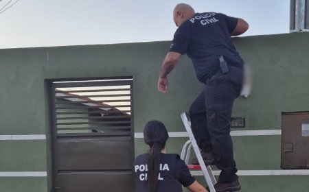 OPERAÇÃO LOBO MAU: PCGO prende 2 pessoas em flagrante por armazenamento e produção de conteúdo de abuso sexual infantil