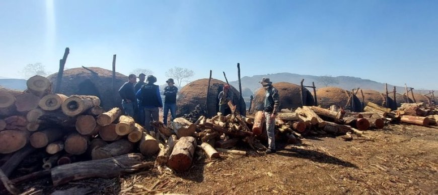 593 trabalhadores são resgatados em condições análogas à escravidão na maior operação da história do Brasil