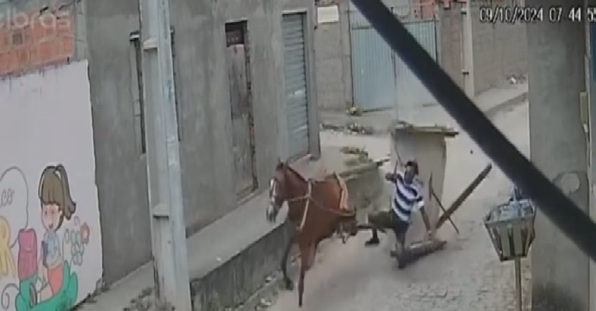 Idoso perde controle de carroça após pneu bater em meio-fio e assustar cavalo