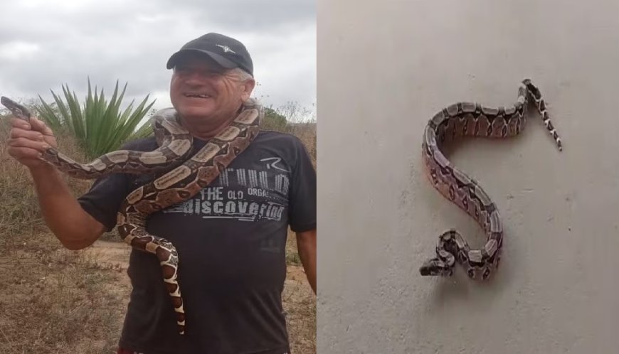 Cobra aparece em posto de saúde e assusta funcionários