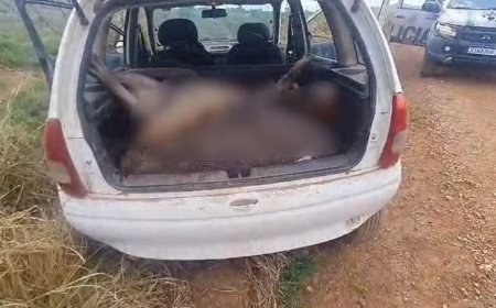 Quatro homens estão presos por caça ilegal e porte de armas