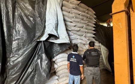 Operação conjunta resulta na apreensão de 89 toneladas de pimenta