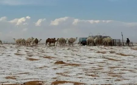 Deserto da Arábia Saudita registra neve pela primeira vez na história