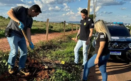 Cachorro é encontrado morto e queimado em Ituiutaba; Polícia investiga caso de maus-tratos