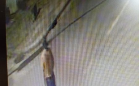 Polícia Civil indicia homem por suspeita de tentar exterminar cães e gatos; Veja o vídeo