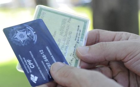 Perdeu os documentos? Saiba o que fazer e como se proteger de golpes