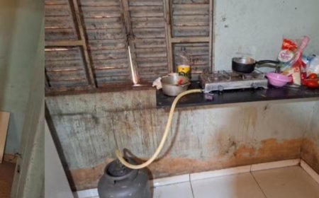 61 pessoas são resgatados em condições análogas à escravidão em fazenda de gado e em empresa de extração de quartzo