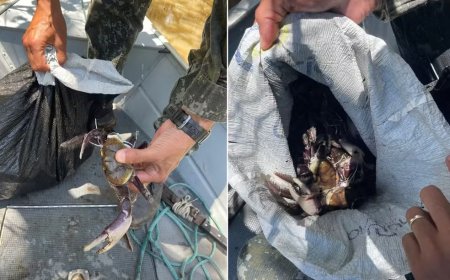 Homem é multado após ser flagrado pescando caranguejos durante período de defeso