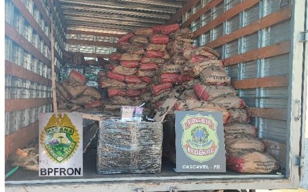 PF e BPFron apreendem caminhão com carga de cigarros eletrônicos