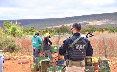 PRF e Ministério do Trabalho resgatam trabalhadores em condições análogas à escravidão em operação na Bahia
