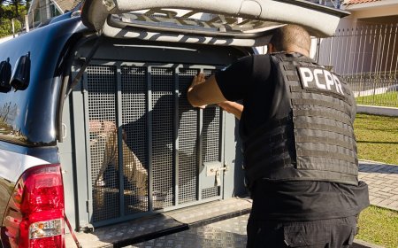 Homem pula muro de motel para não pagar garota de programa 'calote' de R$ 850