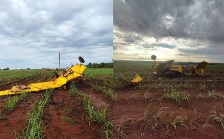 Piloto morre após avião bater contra fiação de alta tensão em Goiás