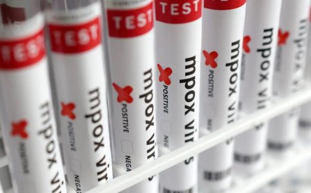 OMS aprova nova vacina contra vírus mpox