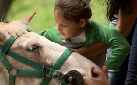 Animais ajudam no tratamento de pessoas doentes