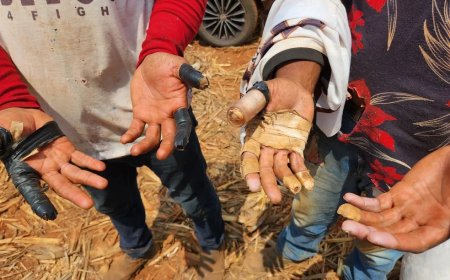 8 Trabalhadores são resgatados em condições análogas à escravidão em SC