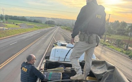 PRF apreende mais de cinco toneladas de maconha; VEJA O VÍDEO