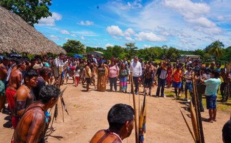 Justiça fixa multa de R$ 50 mil a quem tentar invadir Terra Indígena Apyterewa