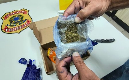 PF apreende porções de maconha e haxixe enviadas via Correios