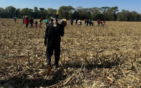 Falta de água leva indígenas a protestarem em rodovia no MS