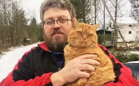 Homem sangra até a morte após ataque do próprio gato