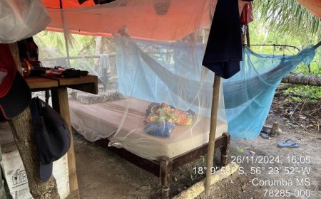 PF resgata 15 trabalhadores em condições análogas à escravidão no Pantanal Sul-Mato-Grossense