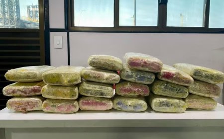 PM apreende 20 quilos de maconha em sacos com bananas