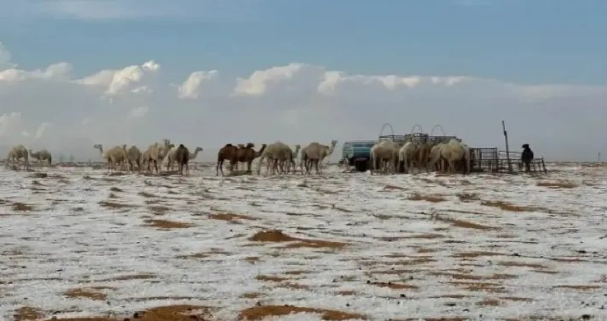 Deserto da Arábia Saudita registra neve pela primeira vez na história