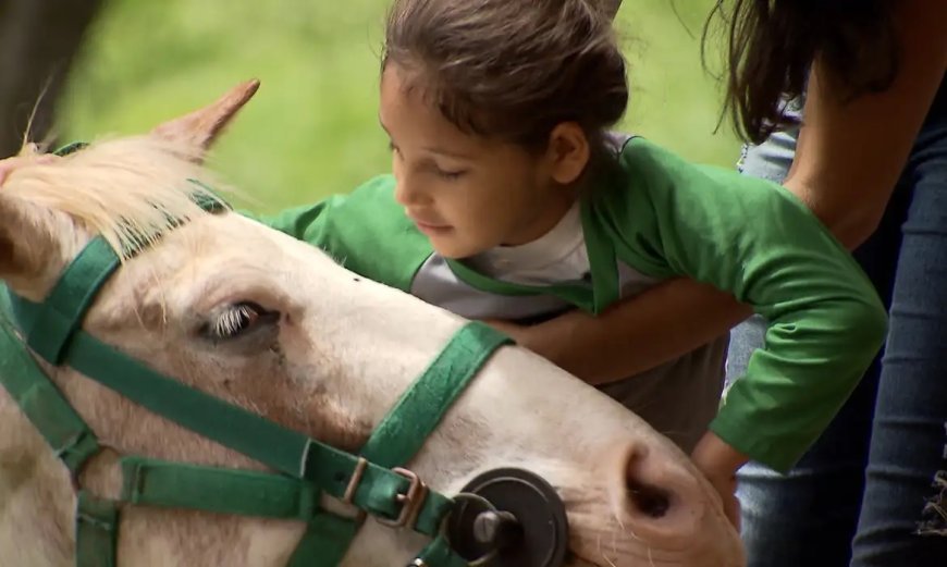 Animais ajudam no tratamento de pessoas doentes