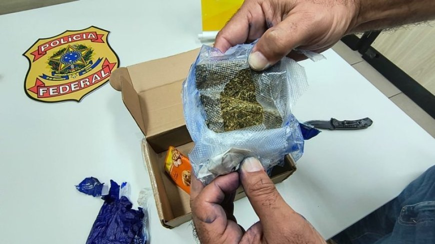 PF apreende porções de maconha e haxixe enviadas via Correios