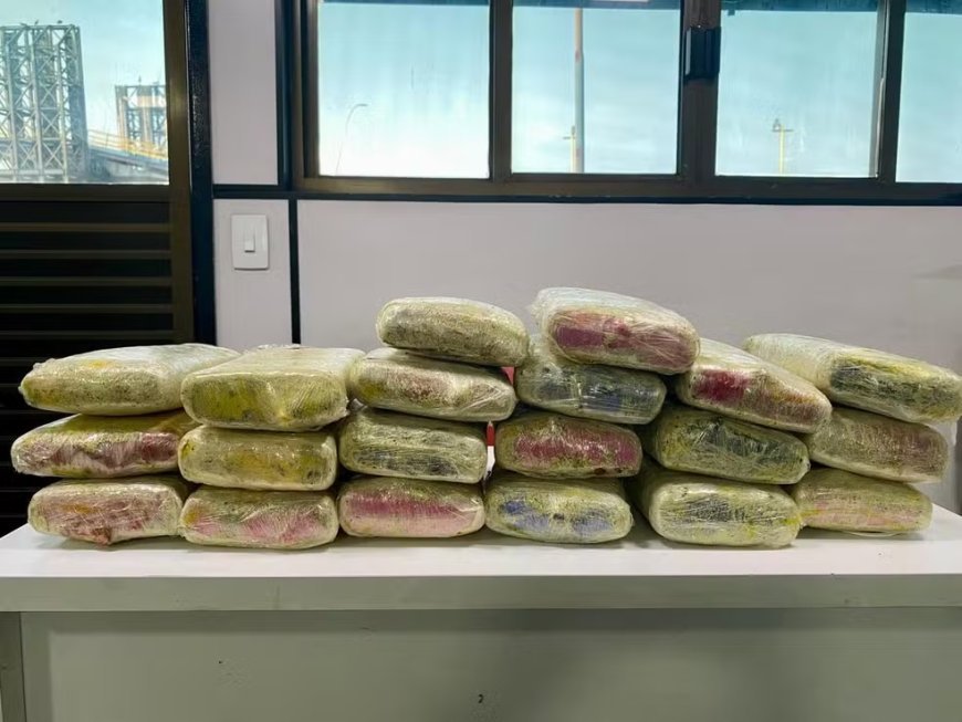 PM apreende 20 quilos de maconha em sacos com bananas