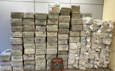 PF apreende caminhão com cerca de 2 toneladas de maconha na MS-295