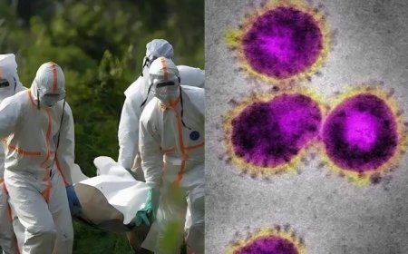 Vírus desconhecido causa 143 mortes na República Democrática do Congo