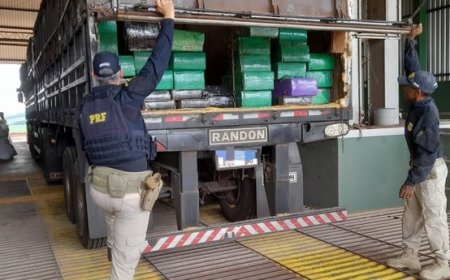 Lanterna de carreta danificada resulta em apreensão de quase 2 toneladas de maconha no Paraná