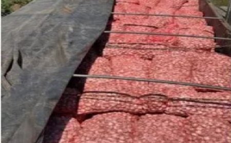 Receita Federal apreende carreta com cerca de 28 toneladas de alho argentino