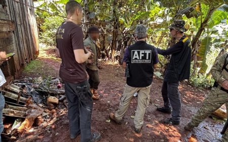 MTE resgata sete indígenas do trabalho análogo à escravidão