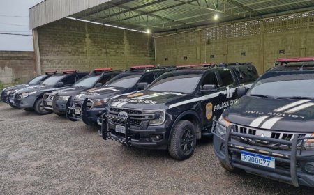 Polícia Civil apreende adolescente investigada por torturar sobrinho e divulgar vídeos na internet