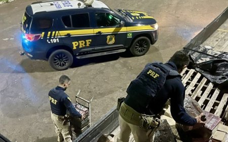 Dentro de caixas de ovos, PRF apreende mais de 300 kg de maconha
