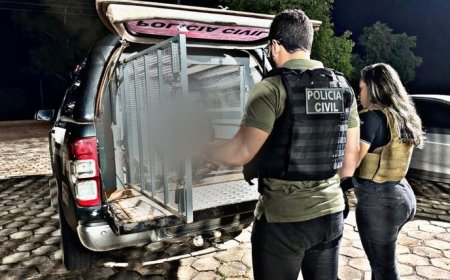 No Maranhão, homem é preso por tentar matar a própria esposa a tiros