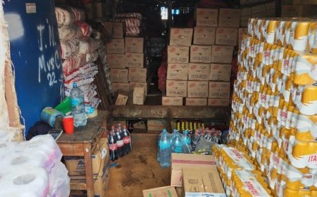 PF apreende 6.500 munições calibre 16; VEJA