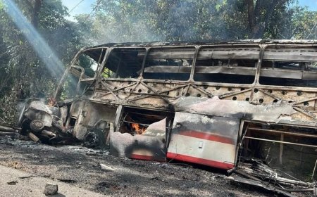 Quatro pessoas morrem carbonizadas em acidente na BR-020