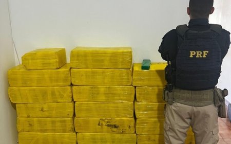 PRF apreende 665 Kg de maconha e recupera veículo