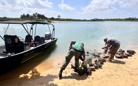 Operação combate a pesca ilegal: 1.630 armadilhas, 4 mil camarões de água doce, 1,2 tonelada de camarão de água salgada e três embarcações foram apreendidos