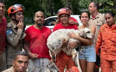 Cachorro da cantora Anitta se assusta com fogos, cava buraco na mansão e é resgatado por bombeiros no RJ